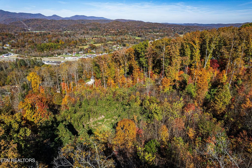 Photo of 247 Mahoney Rd, Oliver Springs, TN 37840 (MLS # 1321105)