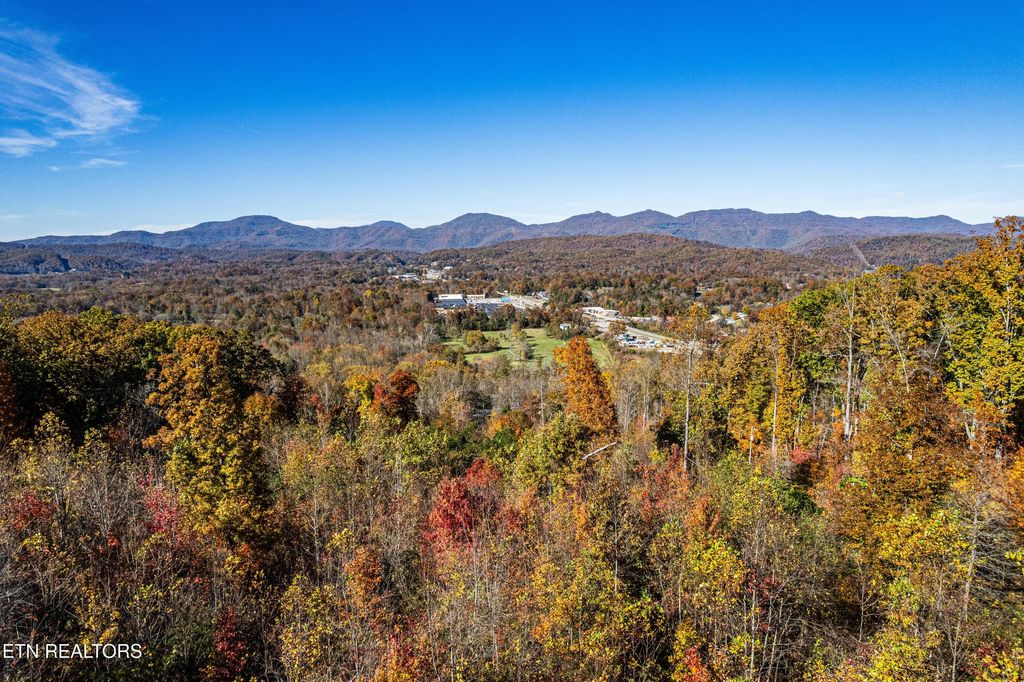 Photo of 247 Mahoney Rd, Oliver Springs, TN 37840 (MLS # 1321105)