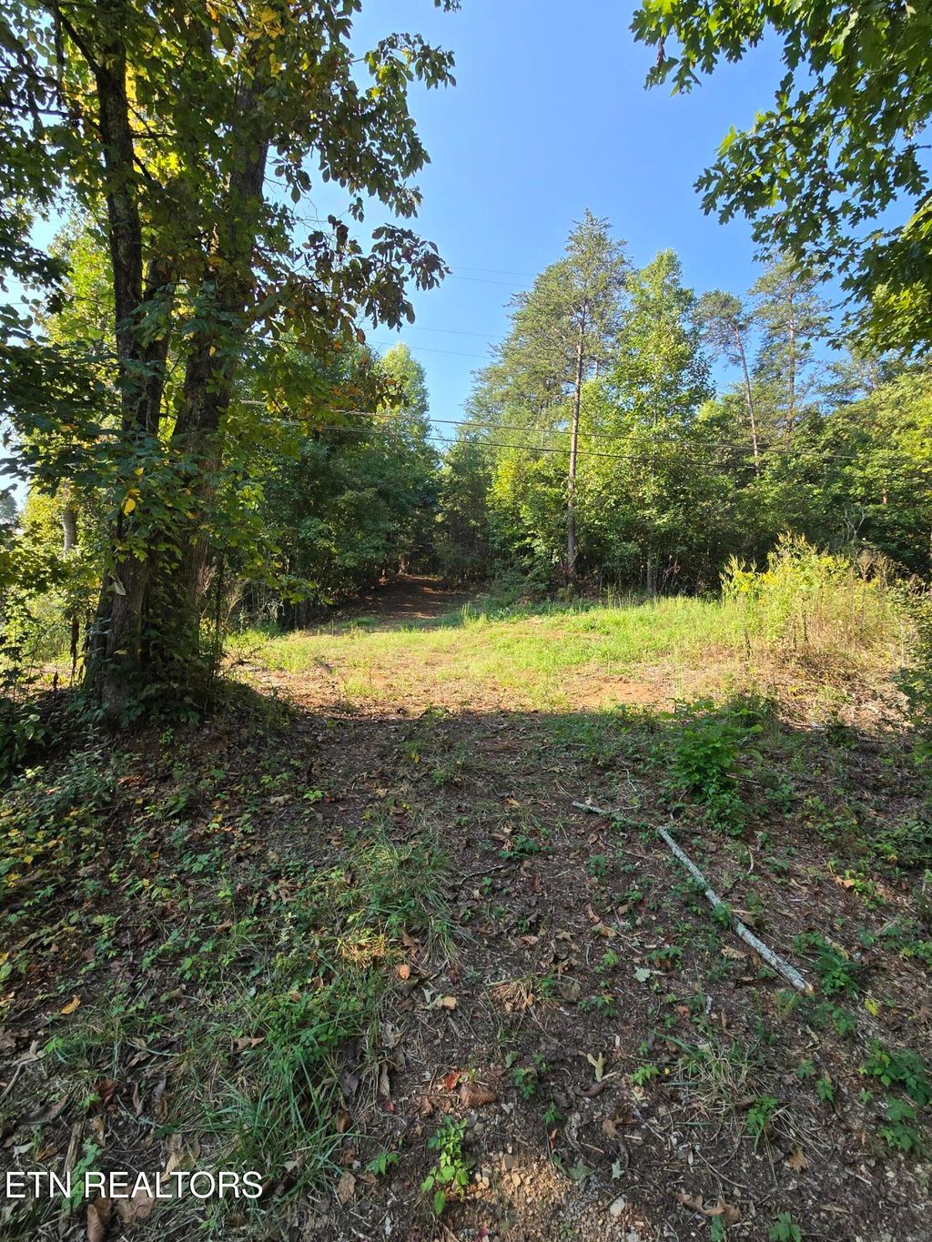 Photo of 173 Akins, Tellico Plains, TN 37385 (MLS # 1315593)