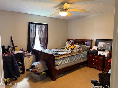 Tiny photo for 8212 Huntsman Court, Powell, TN 37849 (MLS # 1330294)