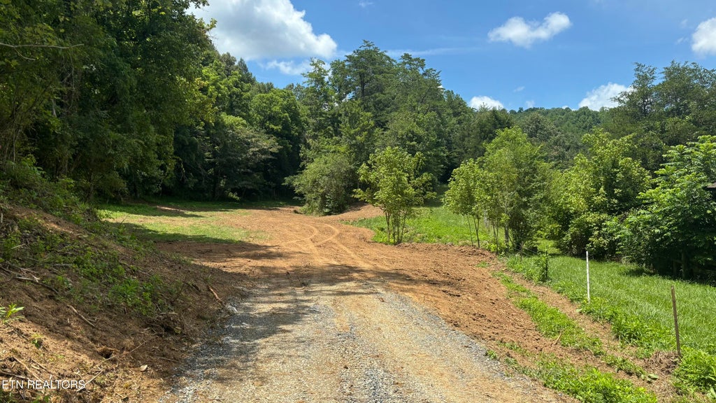 Photo of Bogard Rd, Cosby, TN 37722 (MLS # 1348682)