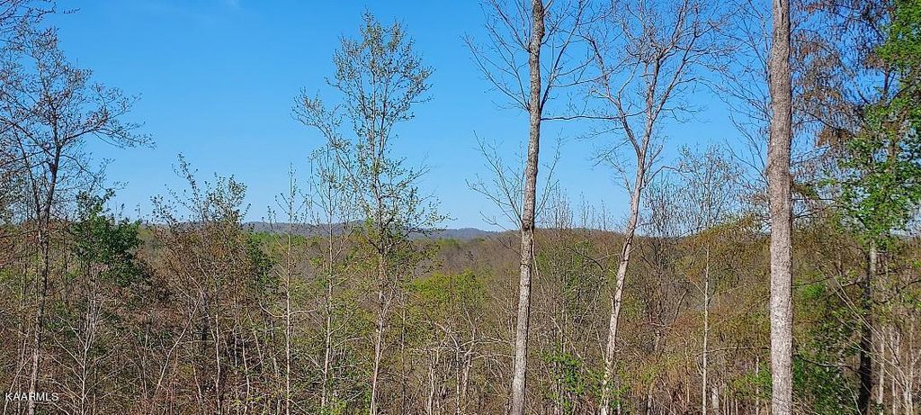 Photo of Huntsville Hill Rd, Huntsville, TN 37756 (MLS # 1223852)