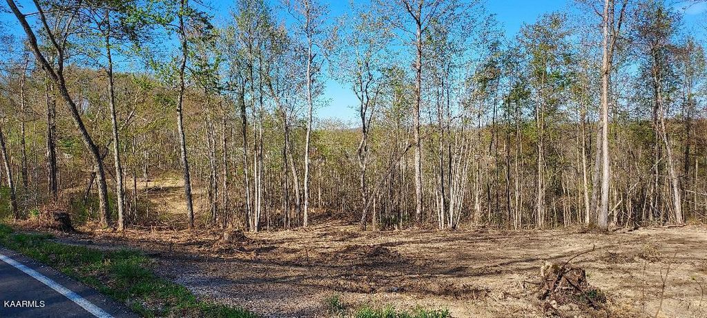 Photo of Huntsville Hill Rd, Huntsville, TN 37756 (MLS # 1223852)