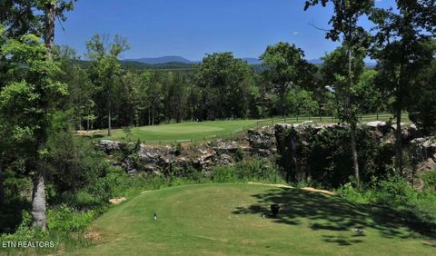 Tiny photo for 109 Heavenberry St #Lot104B, Oak Ridge, TN 37830 (MLS # 1333323)