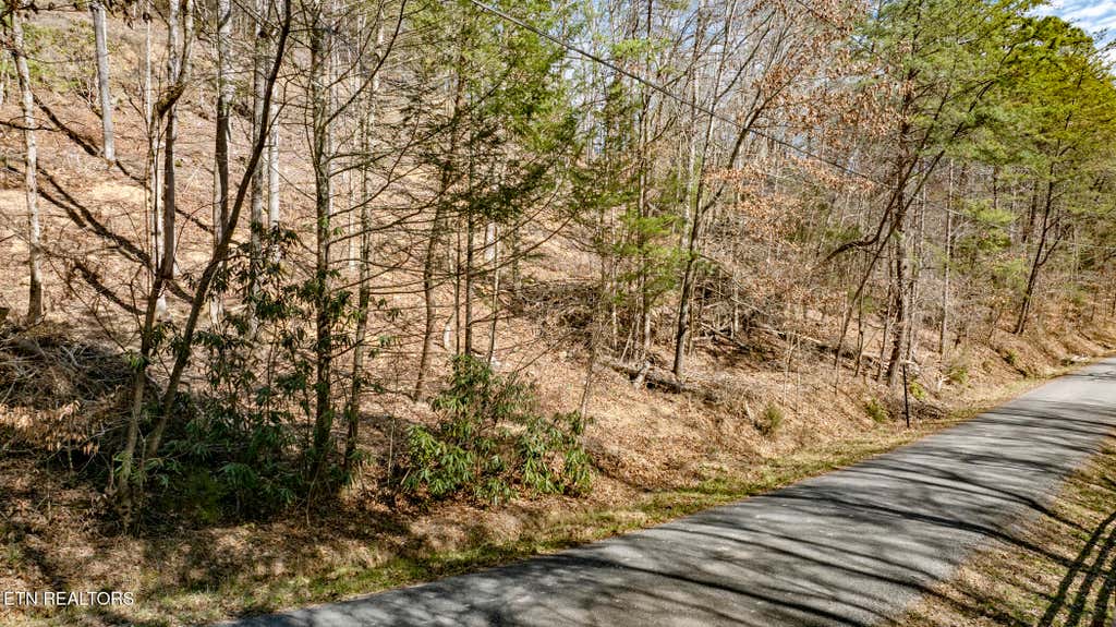 Photo of 274 Cove Hollow Rd, Cosby, TN 37722 (MLS # 1344333)