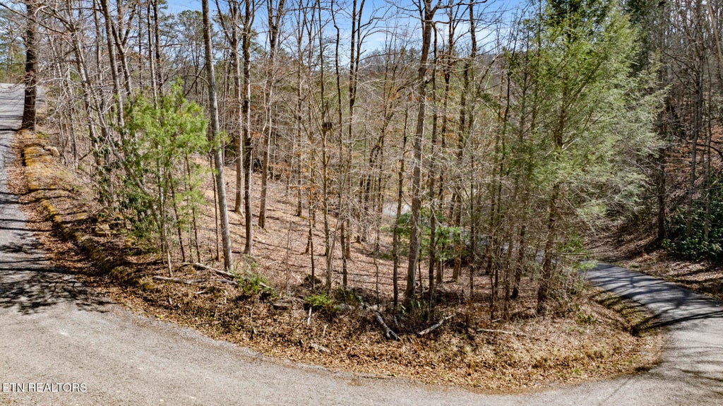 Photo of 274 Cove Hollow Rd, Cosby, TN 37722 (MLS # 1344333)