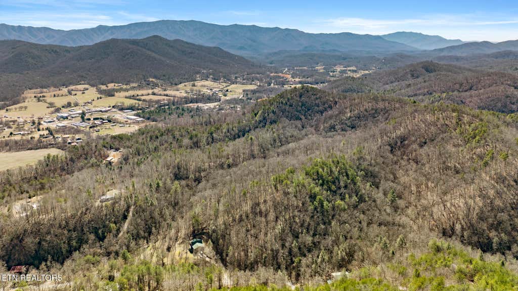 Photo of 274 Cove Hollow Rd, Cosby, TN 37722 (MLS # 1344333)