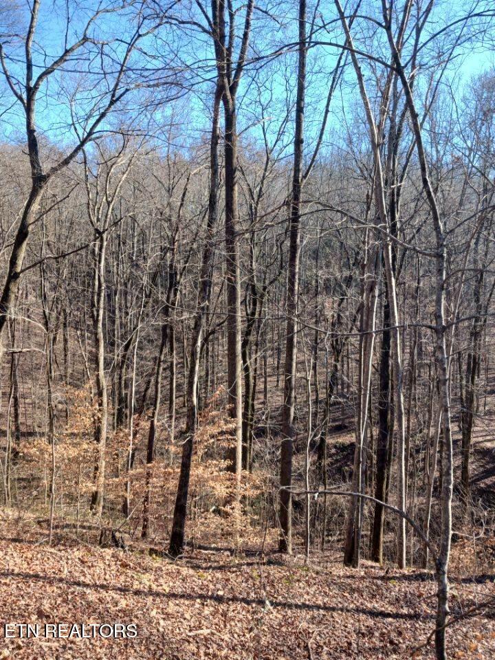 311 Roberts Mill Rd