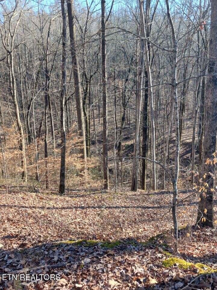 311 Roberts Mill Rd
