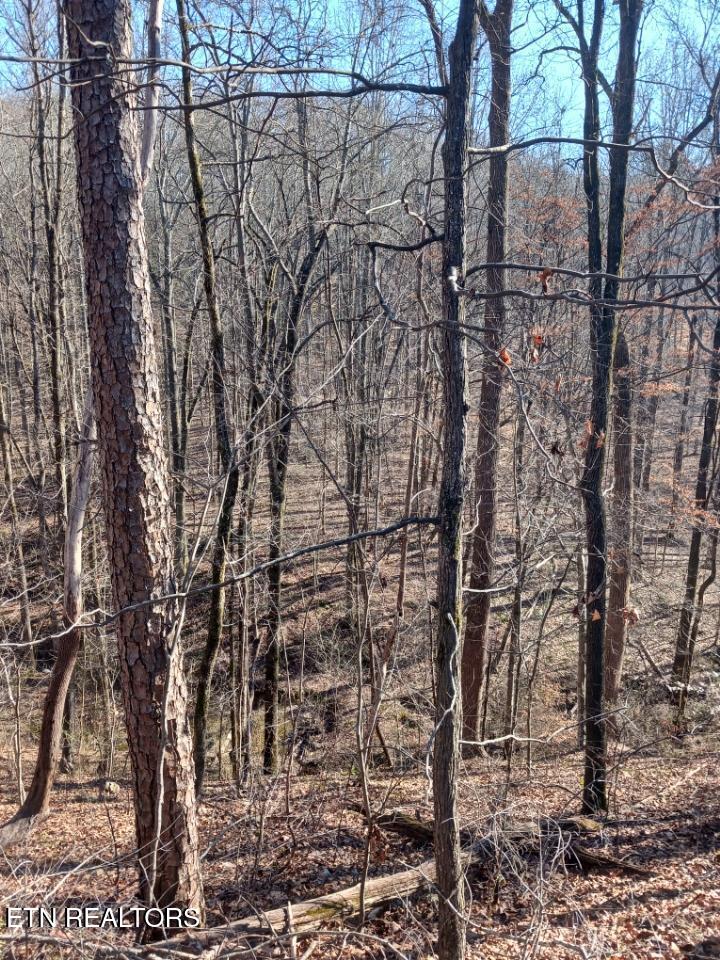 311 Roberts Mill Rd