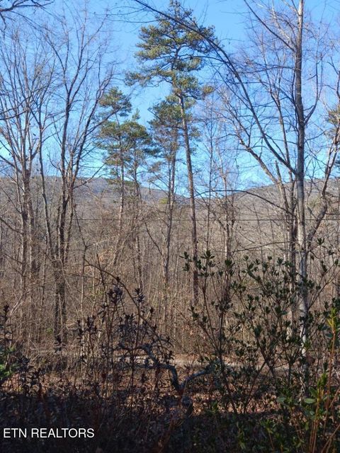 311 Roberts Mill Rd Hixson TN 37343