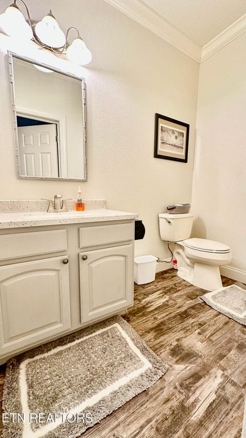 Tiny photo for 400 Levi Court, New Tazewell, TN 37825 (MLS # 1328362)