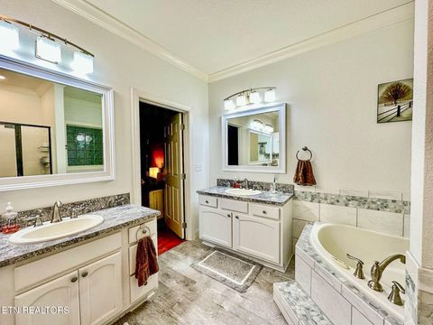 Tiny photo for 400 Levi Court, New Tazewell, TN 37825 (MLS # 1328362)