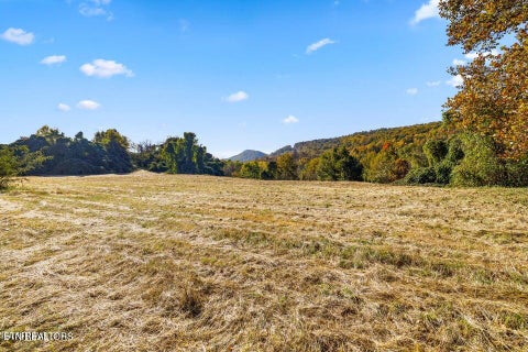Tiny photo for Colonial Lane, Rocky Top, TN 37769 (MLS # 1354658)