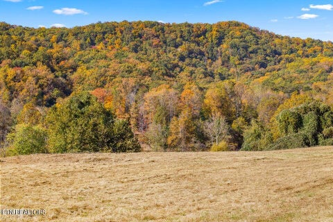 Tiny photo for Colonial Lane, Rocky Top, TN 37769 (MLS # 1354658)