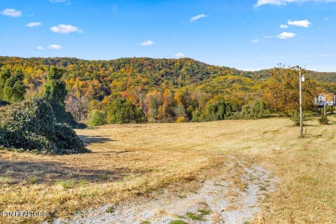 Tiny photo for Colonial Lane, Rocky Top, TN 37769 (MLS # 1354658)