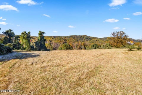 Tiny photo for Colonial Lane, Rocky Top, TN 37769 (MLS # 1354658)