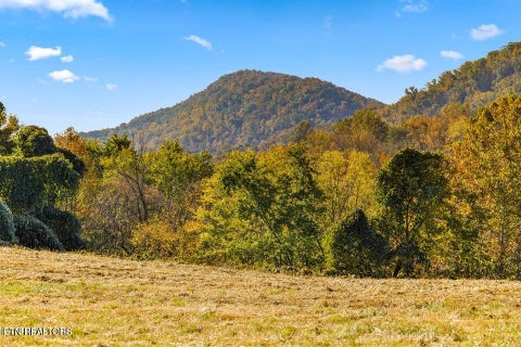 Tiny photo for Colonial Lane, Rocky Top, TN 37769 (MLS # 1354658)