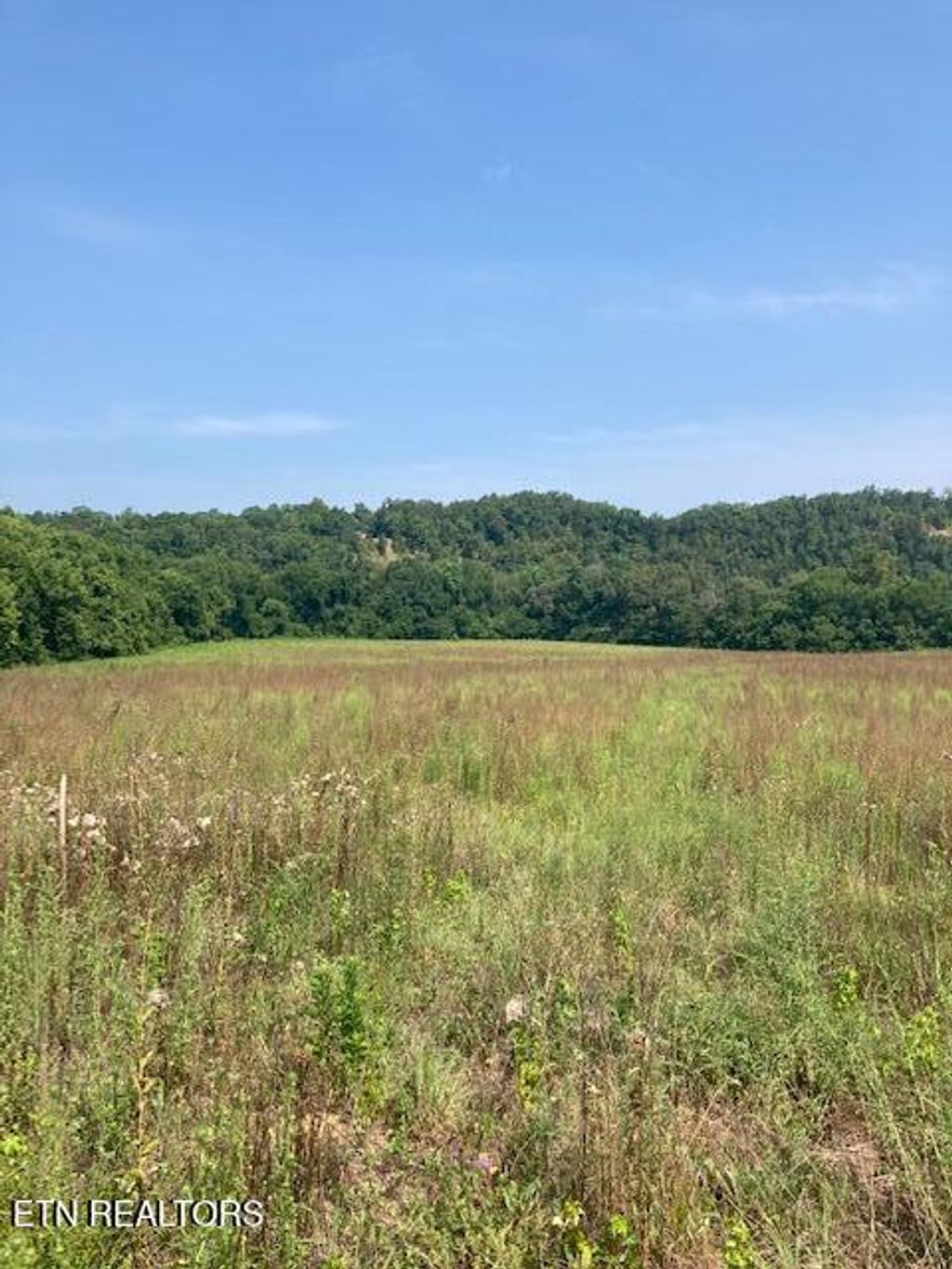 Photo of 728 Snowflower Circle #11, Pigeon Forge, TN 37863 (MLS # 1291464)