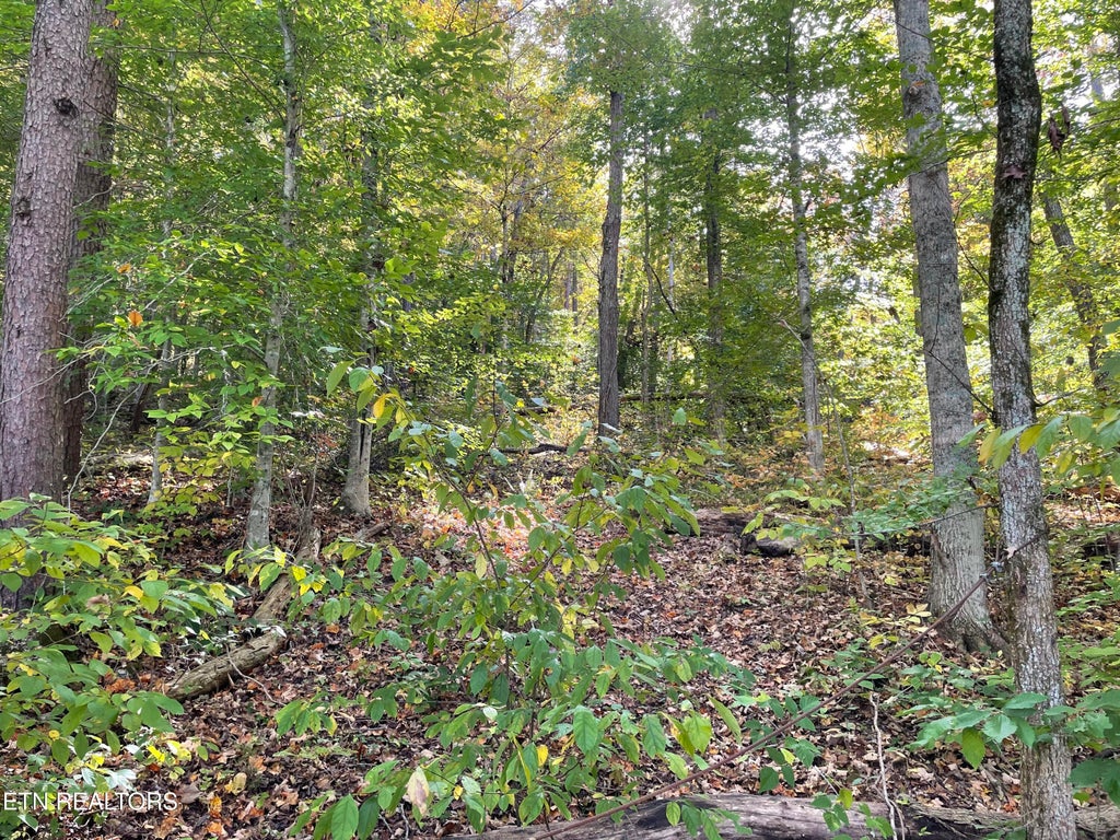 Photo of K D Lane, Maynardville, TN 37807 (MLS # 1360124)