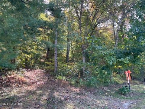 Tiny photo for K D Lane, Maynardville, TN 37807 (MLS # 1360124)