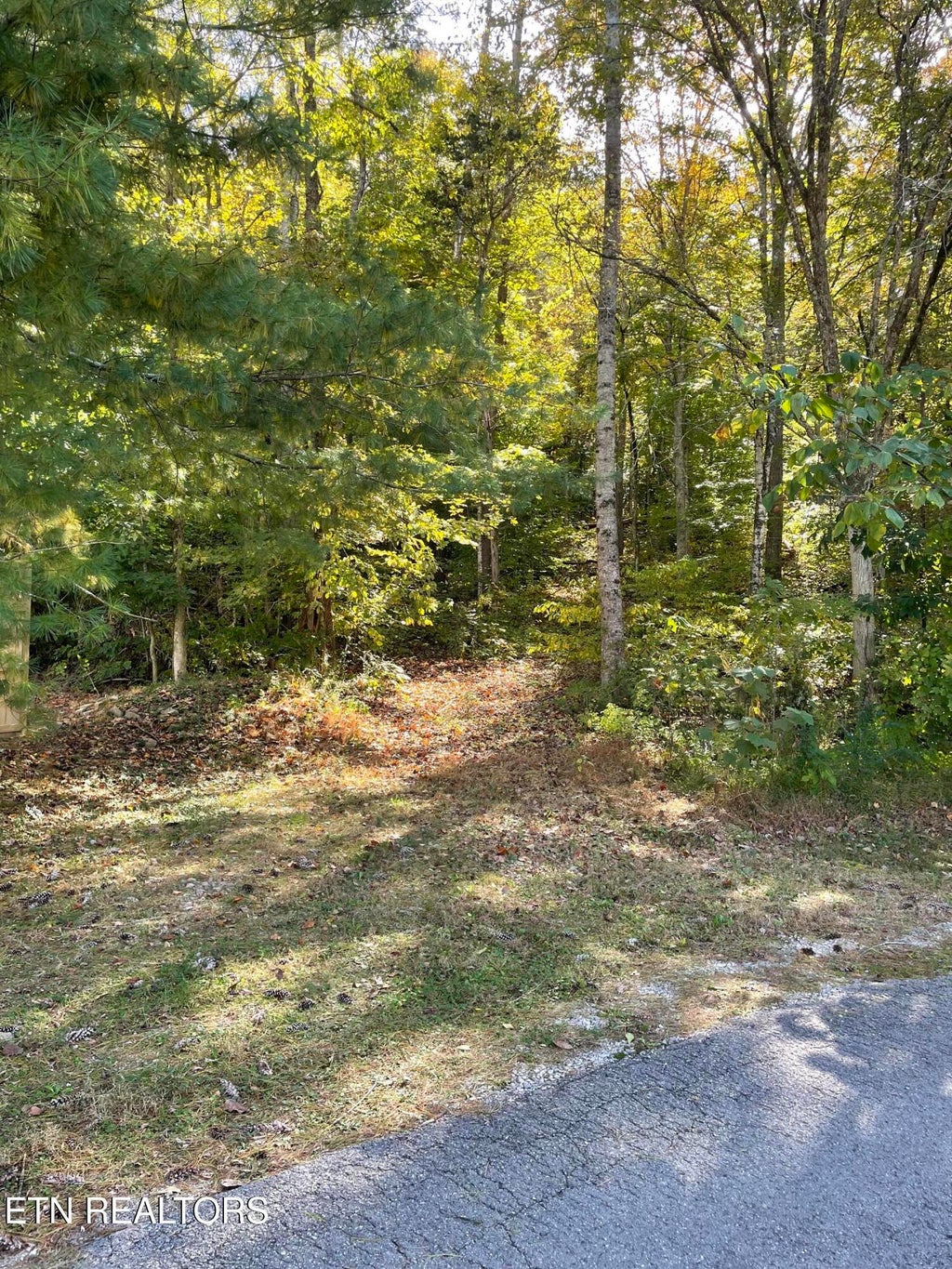 Photo of K D Lane, Maynardville, TN 37807 (MLS # 1360124)