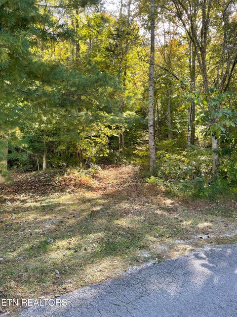Photo of K D Lane, Maynardville, TN 37807 (MLS # 1360124)