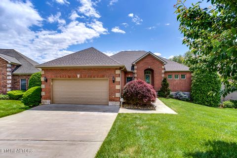 245 Coyatee Shores Trace Loudon TN 37774