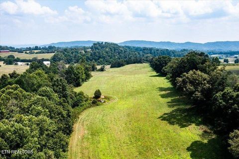 Tiny photo for Oak Grove Rd, Sharps Chapel, TN 37866 (MLS # 1329094)