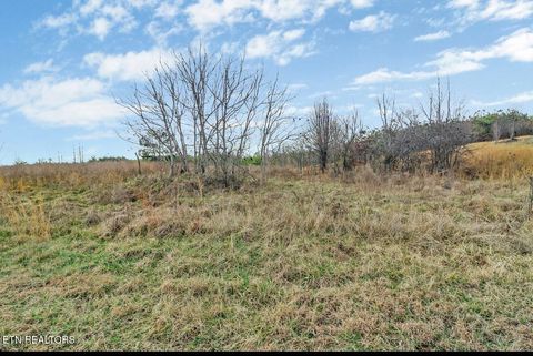 Tiny photo for 0 Tower Rd, Grandview, TN 37337 (MLS # 1330762)