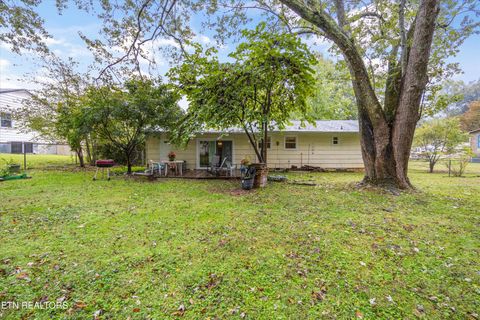 Tiny photo for 2001 Nandina Drive, Knoxville, TN 37912 (MLS # 1317978)