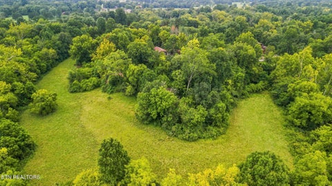 Tiny photo for 174 Irwin Lane, Clinton, TN 37716 (MLS # 1352099)