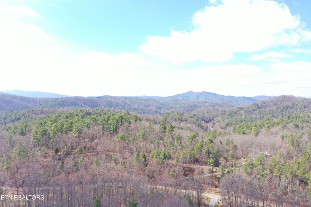 Photo of Round Mountain, Del Rio, TN 37727 (MLS # 1293863)