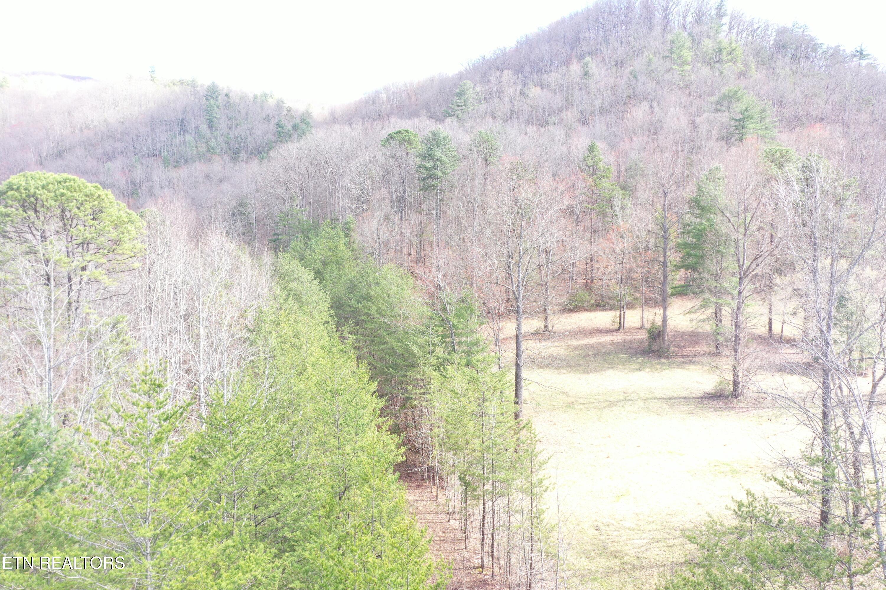 Round Mountain