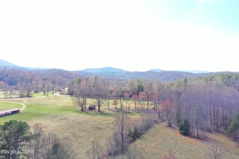 Tiny photo for Round Mountain, Del Rio, TN 37727 (MLS # 1293863)
