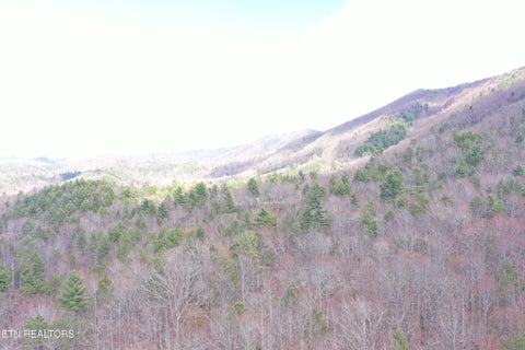 Tiny photo for Round Mountain, Del Rio, TN 37727 (MLS # 1293863)