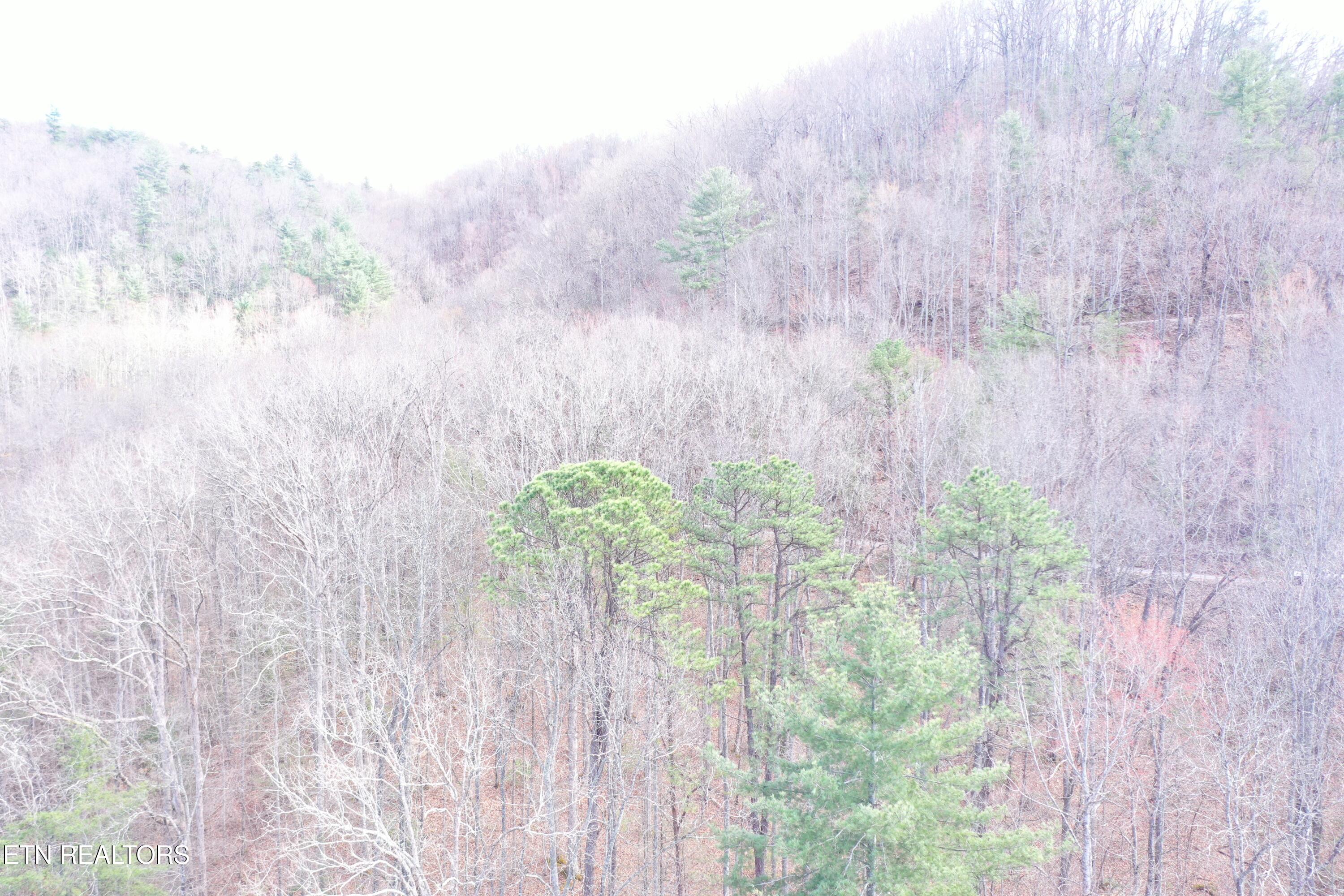 Round Mountain