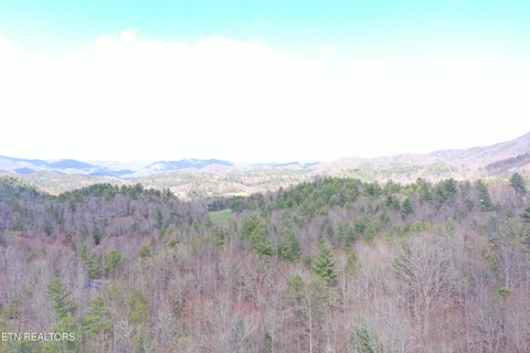 Tiny photo for Round Mountain, Del Rio, TN 37727 (MLS # 1293863)