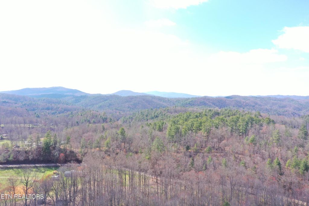 Photo of Round Mountain, Del Rio, TN 37727 (MLS # 1293863)