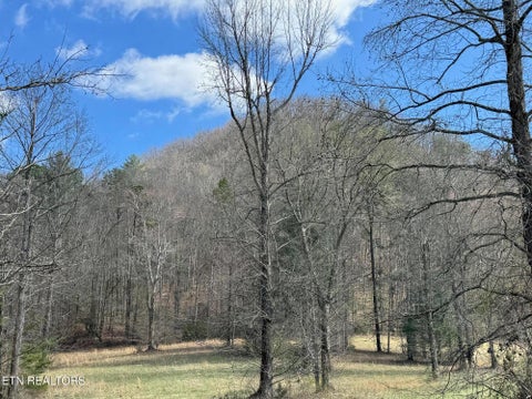 Tiny photo for Round Mountain, Del Rio, TN 37727 (MLS # 1293863)