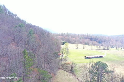 Tiny photo for Round Mountain, Del Rio, TN 37727 (MLS # 1293863)