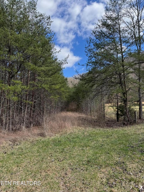 Tiny photo for Round Mountain, Del Rio, TN 37727 (MLS # 1293863)