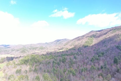 Tiny photo for Round Mountain, Del Rio, TN 37727 (MLS # 1293863)