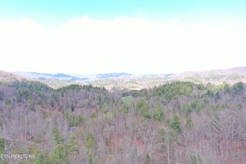Tiny photo for Round Mountain, Del Rio, TN 37727 (MLS # 1293863)