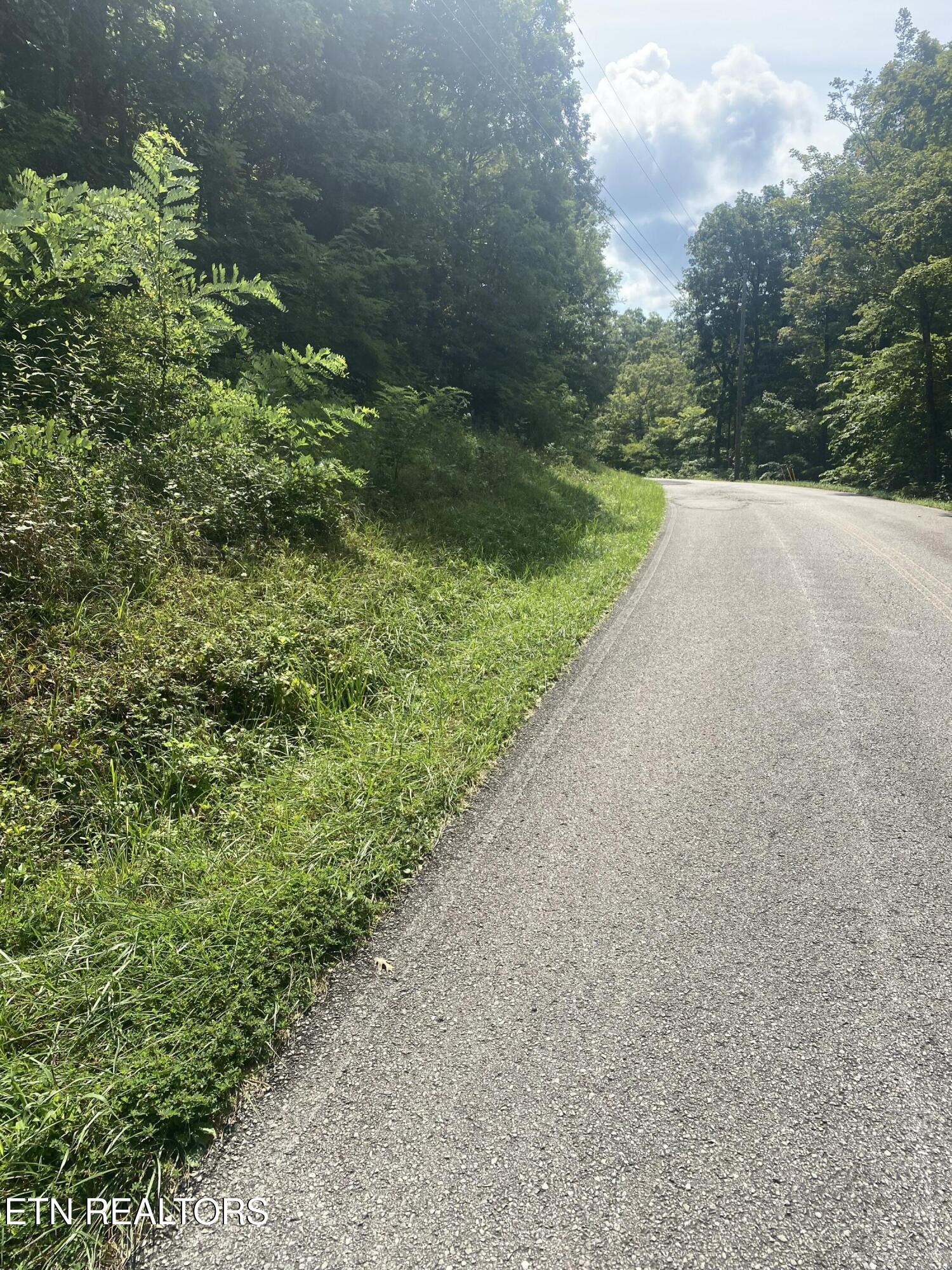 44 acres Sheep Bluff Rd