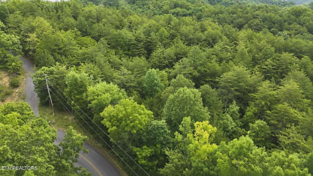 Photo of Buck Horn Rd, Dandridge, TN 37725 (MLS # 1344340)