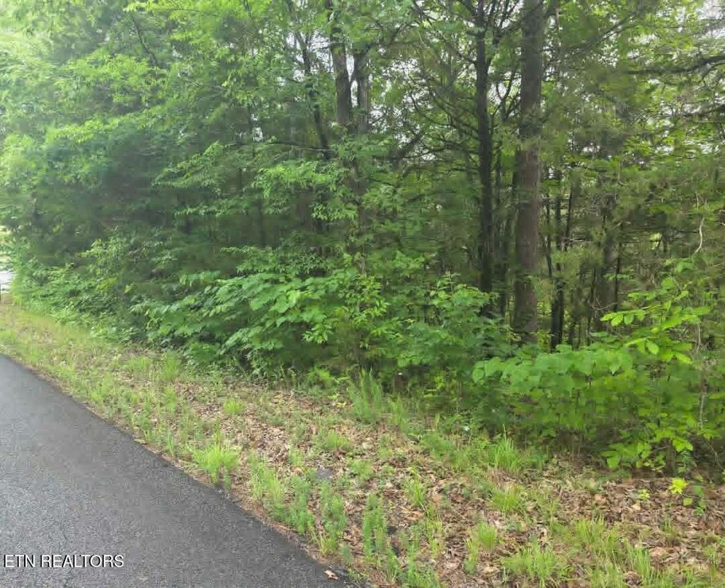 Photo of Buck Horn Rd, Dandridge, TN 37725 (MLS # 1344340)