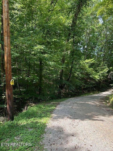 Tiny photo for 0 Emory River Rd, Harriman, TN 37748 (MLS # 1325289)
