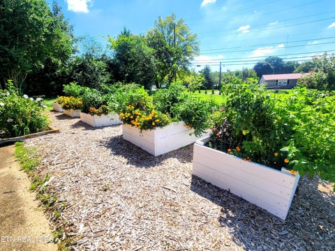 Tiny photo for 1701 Highland Drive, Knoxville, TN 37918 (MLS # 1355964)