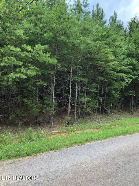 Photo of Pinhook Rd, Spring City, TN 37381 (MLS # 1269148)